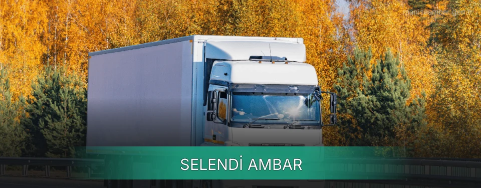 Selendi Ambar